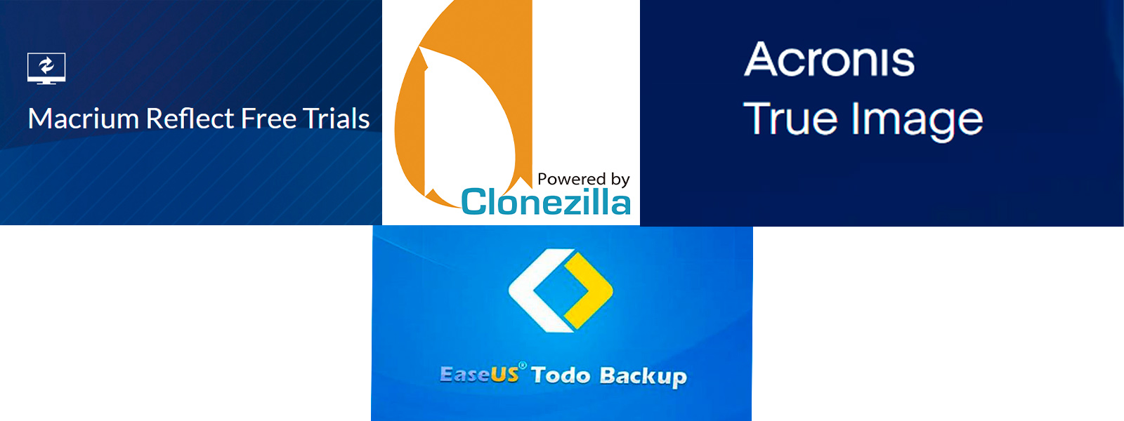 programas-de-clonacion